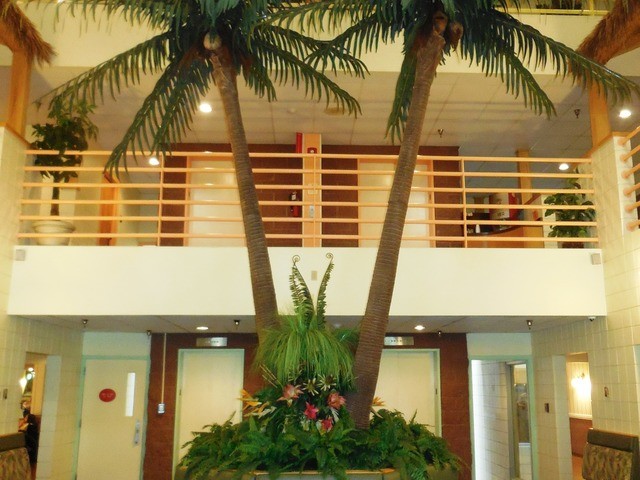 THE PALMS AT O NEIL 